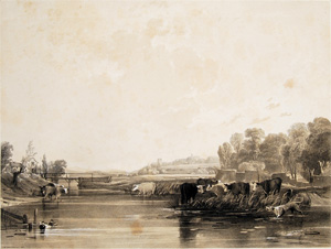 William James Muller lithograph